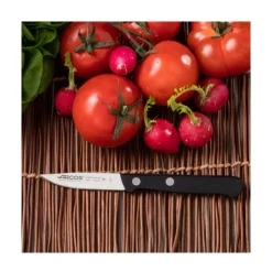 Cuchillo pelador universal de acero inoxidable 7cm - Arcos^Casa Viva Best