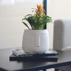 Macetero de cerámica blanco Ajanu Ø11cm^Casa Viva Hot