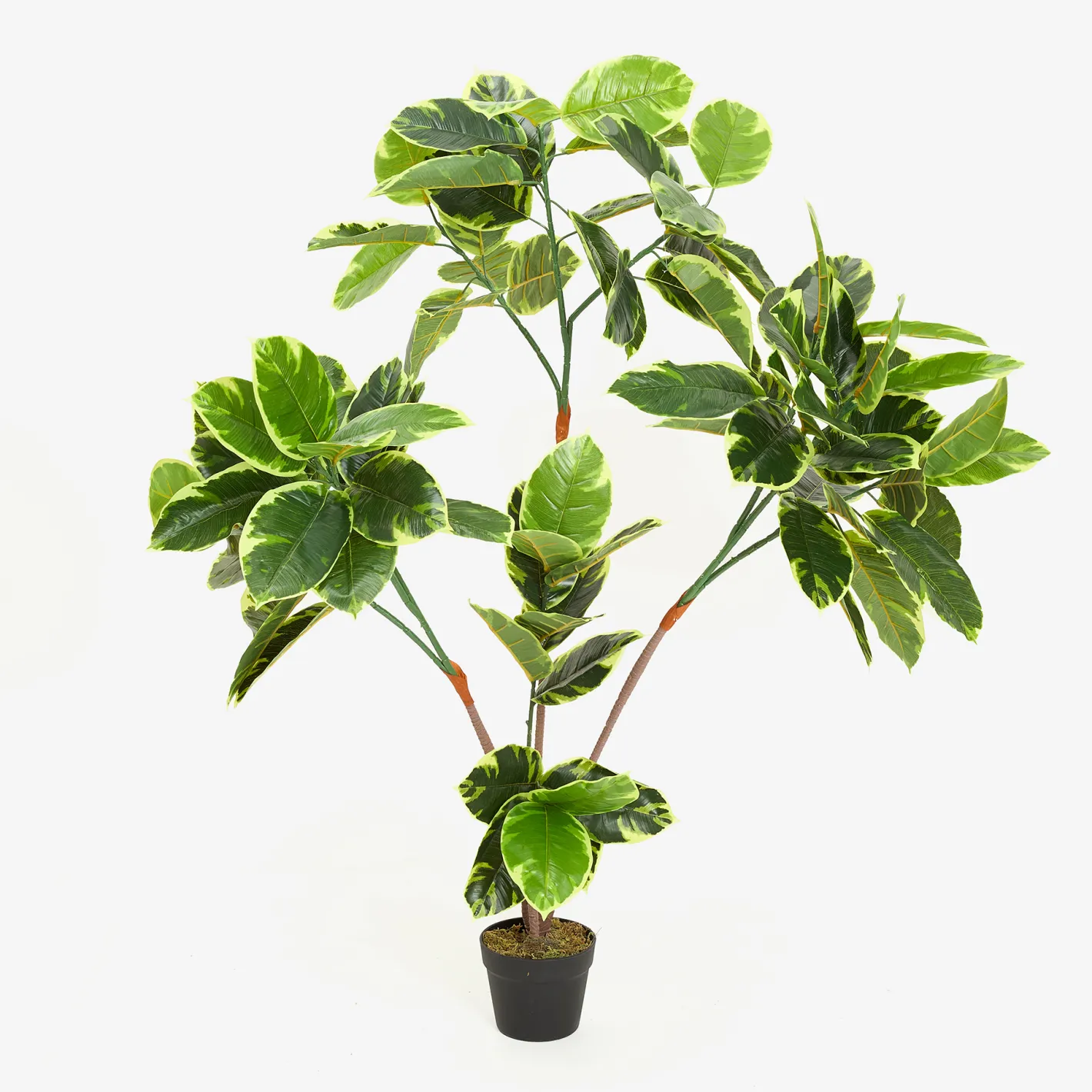 Planta artificial en maceta Ficus 145cm^Casa Viva Best