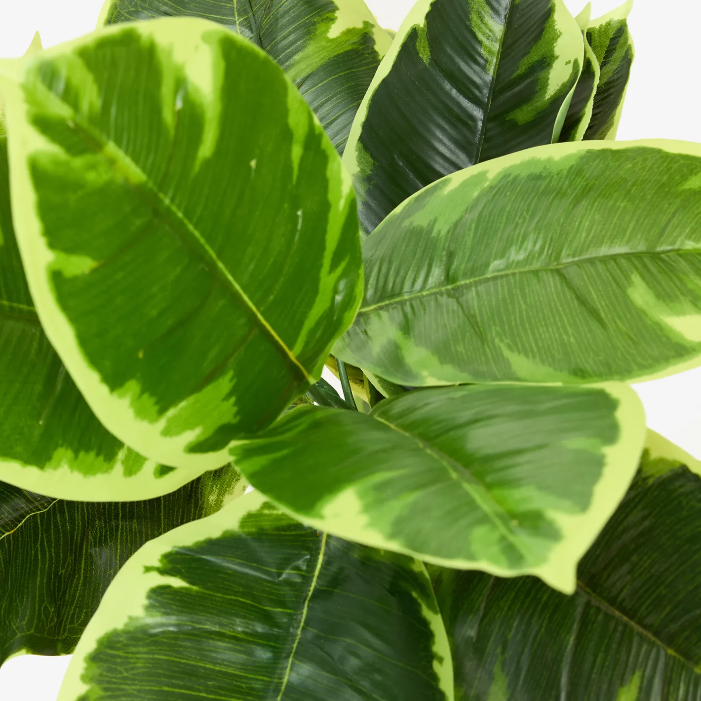 Planta artificial en maceta Ficus 145cm^Casa Viva Best