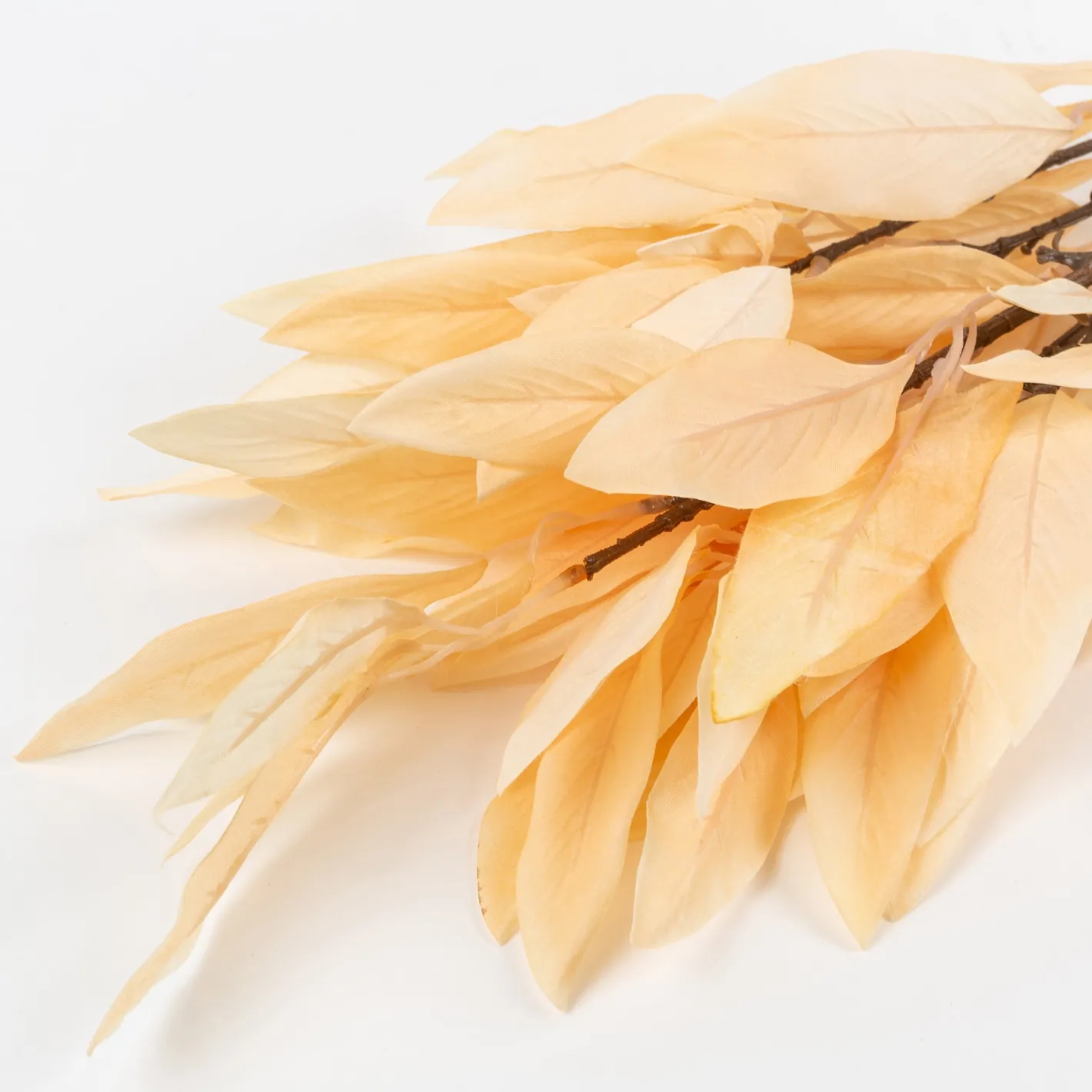 Rama de laurel beige^Casa Viva Best