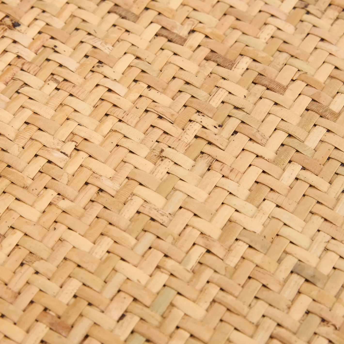 Silla de madera de olmo clara Cibran 45x41x83cm Clau&Chloe^Casa Viva Online